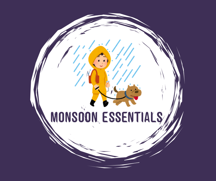 Monsoon Essentials for Dogs – Raincoats, Umbrella Leashes & Indoor Toys | FurrMama