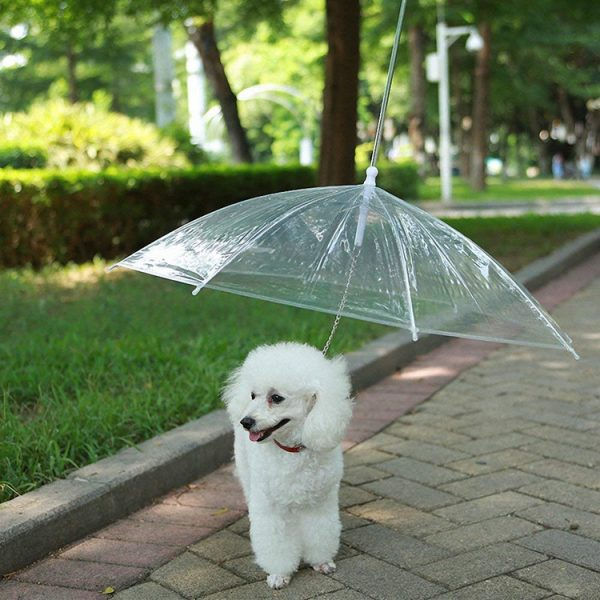 Transparent Umbrella Leash for Dogs – Rain Protection with Chain Lead Hands-Free Walking