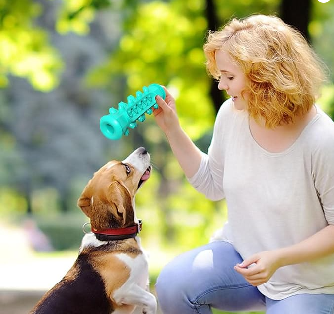 Serrated Molar Stick – Dental Chew Toy for Dogs