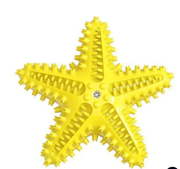 Star Teether – Squeaky Textured Chew Toy for Dogs