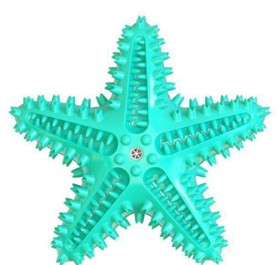 Star Teether – Squeaky Textured Chew Toy for Dogs