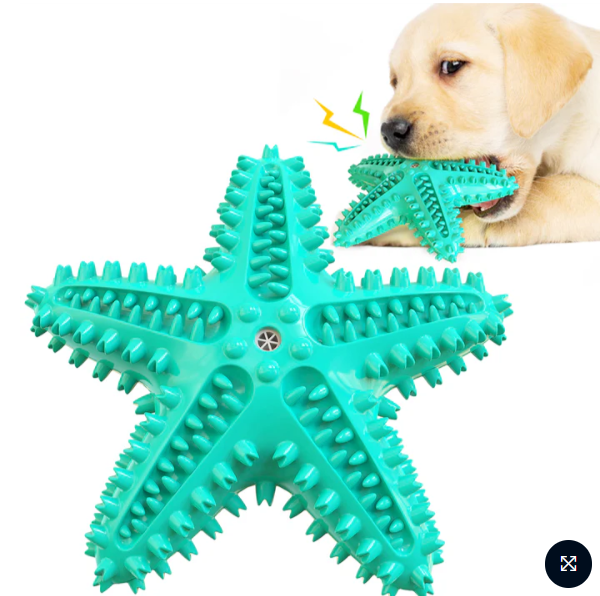 Star Teether – Squeaky Textured Chew Toy for Dogs