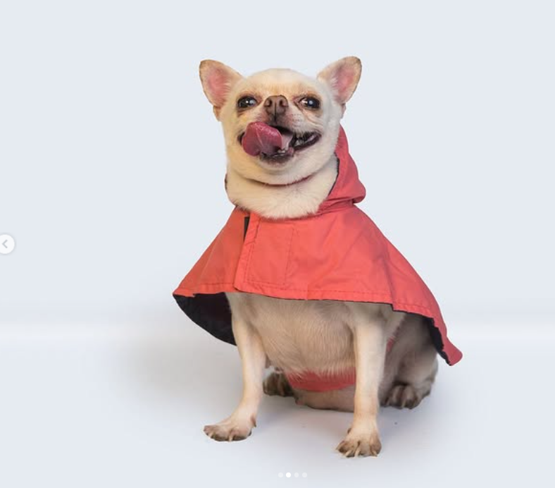 Solid Colour Dog Raincoat (Pink) – Lightweight & Water-Resistant