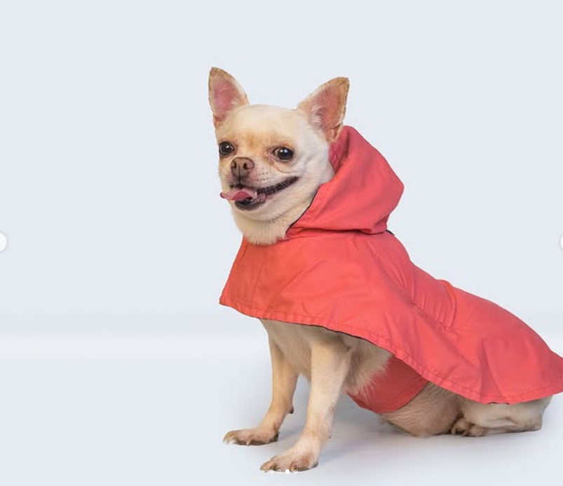 Solid Colour Dog Raincoat (Pink) – Lightweight & Water-Resistant