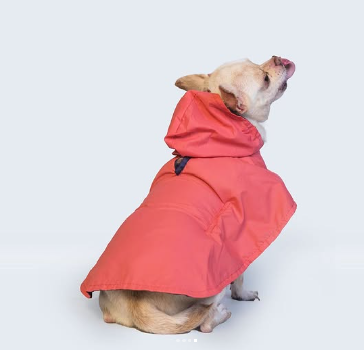 Solid Colour Dog Raincoat (Pink) – Lightweight & Water-Resistant