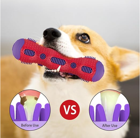 Toothbrush Stick – Dental Chew Toy for Dogs - Gigwi