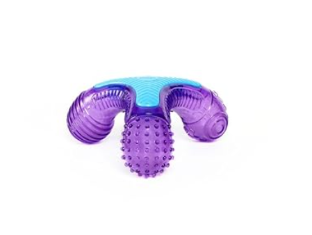 Multi-Sounds Bone – 3-in-1 Squeaky Dental Toy for Dogs - Gigwi