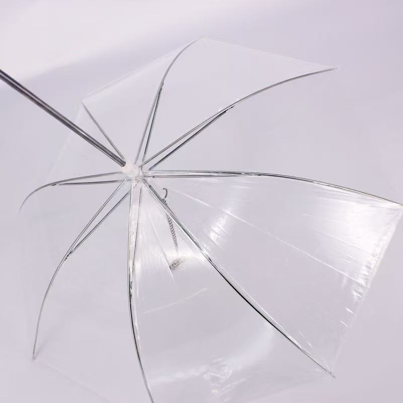 Transparent Umbrella Leash for Dogs – Rain Protection with Chain Lead Hands-Free Walking
