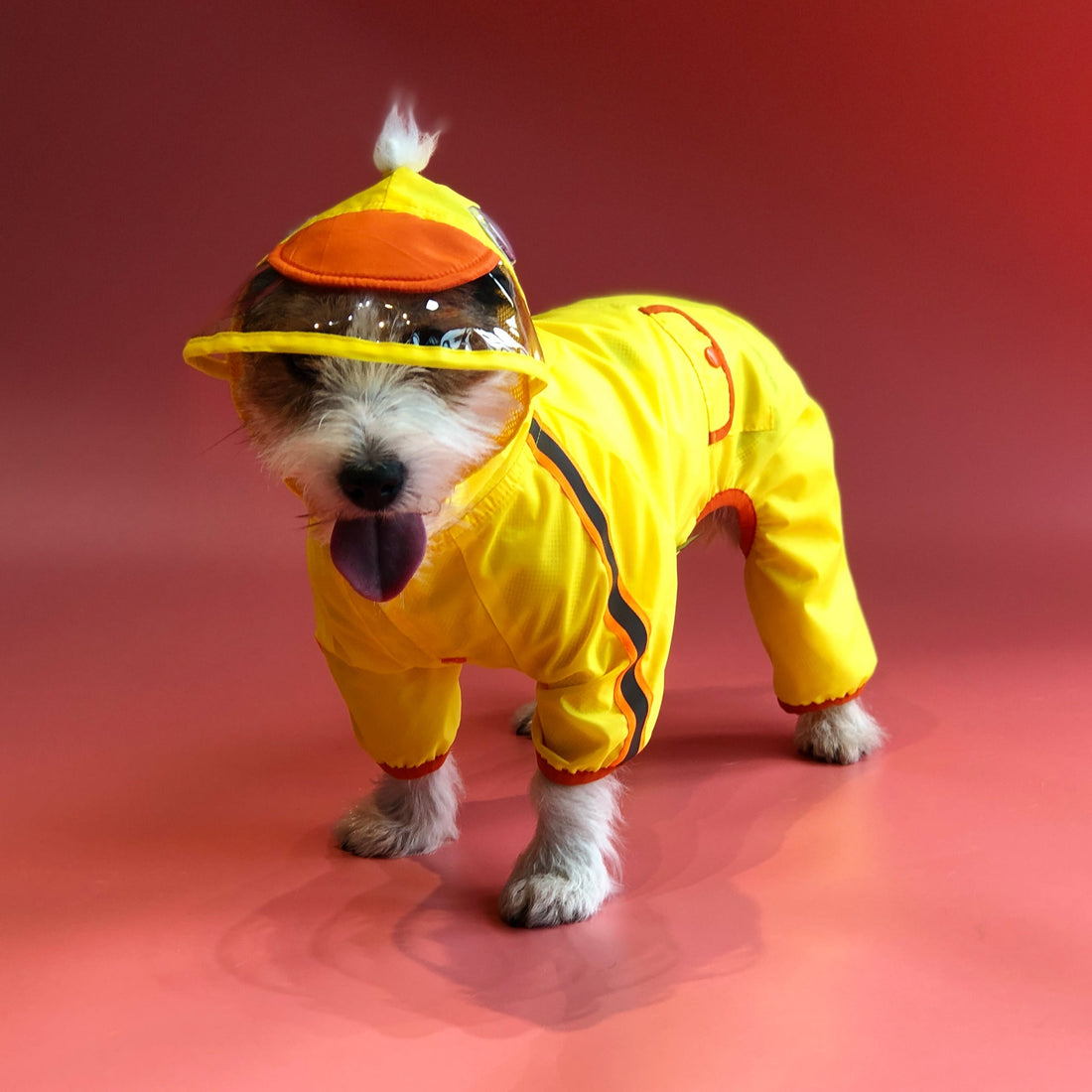 Raincoats