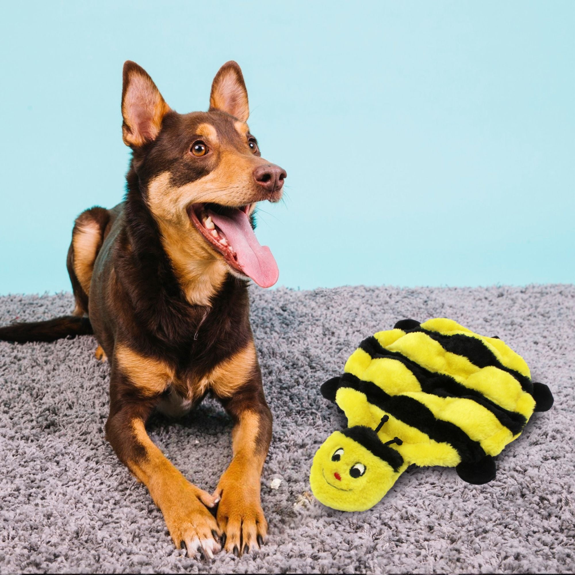 Zippy Paws Squeakie Crawler - Bertie the Bee