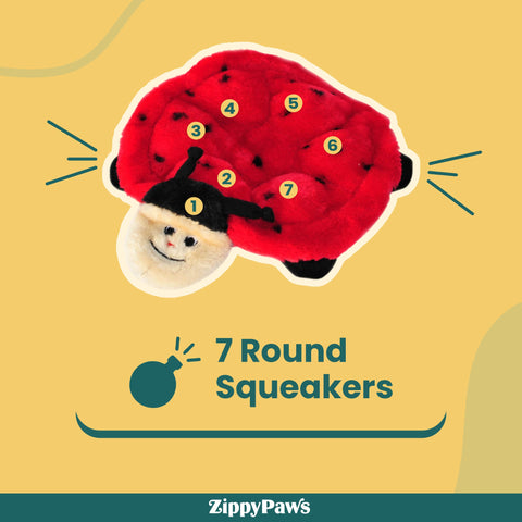 Zippy Paws Squeakie Crawler - Betsey the Ladybug