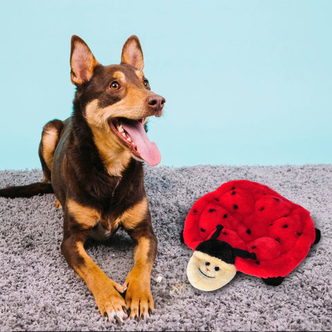 Zippy Paws Squeakie Crawler - Betsey the Ladybug