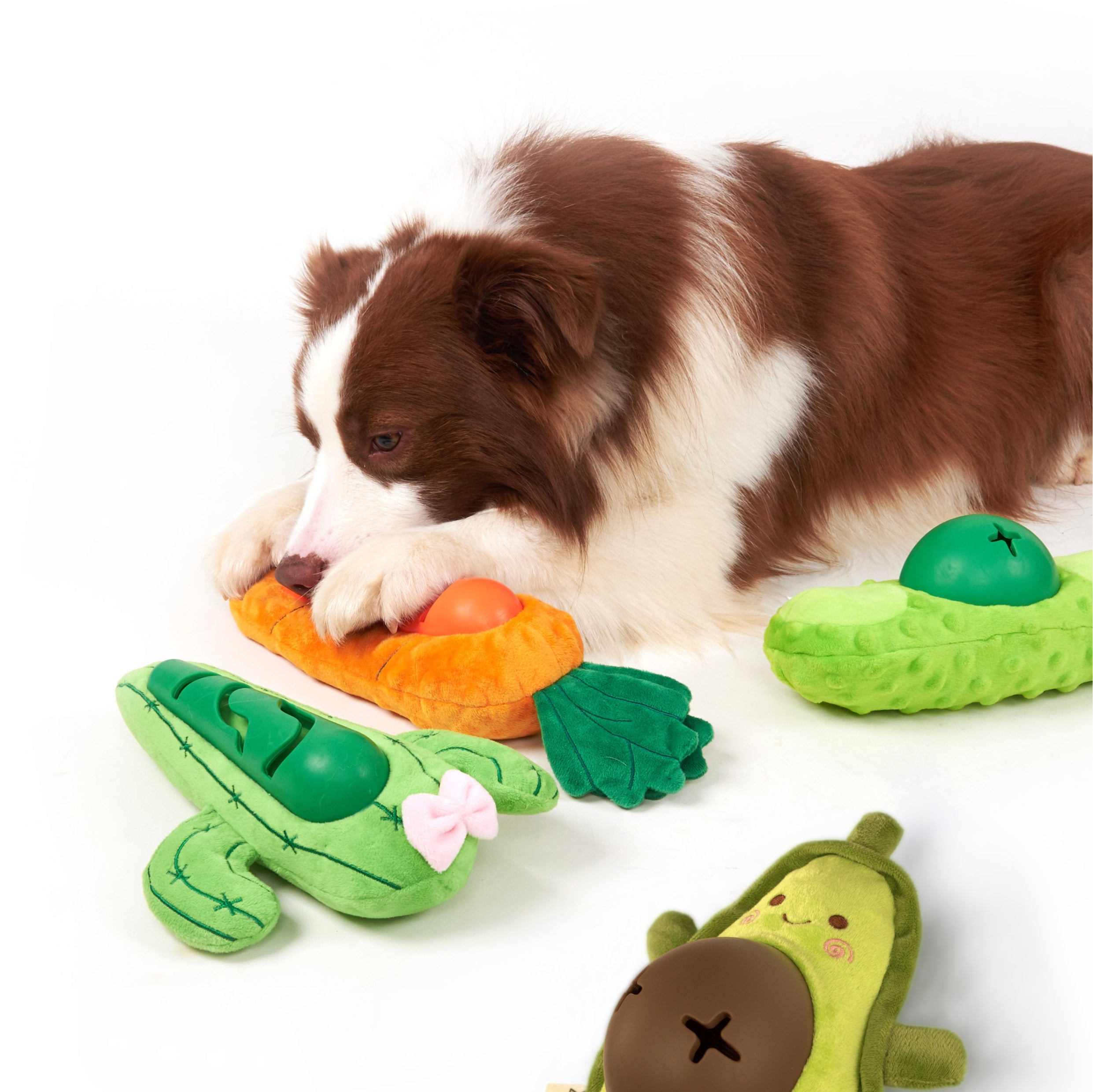 FOFOS Cute Treat Toy-Cactus
