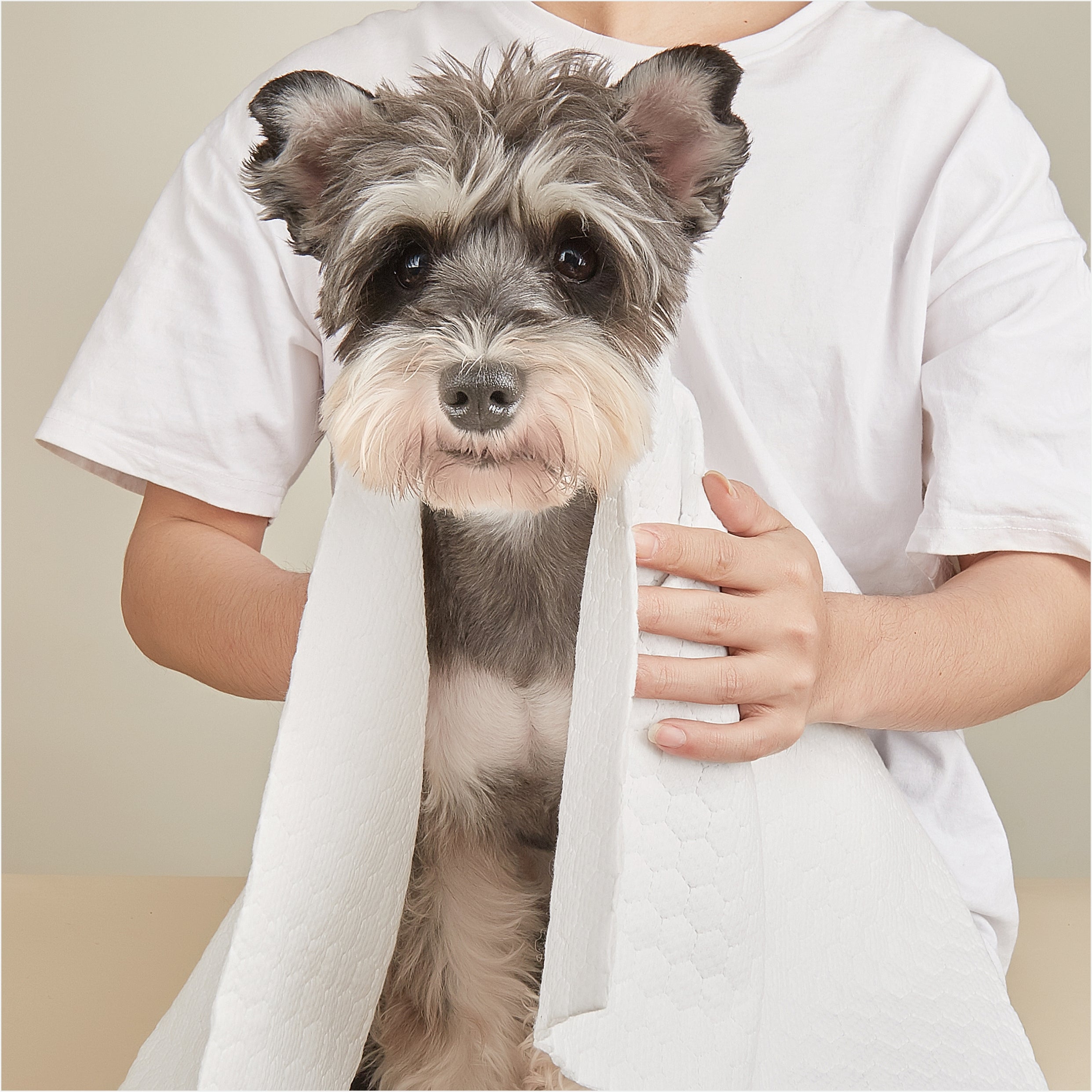 FOFOS Disposable Pet Towels L