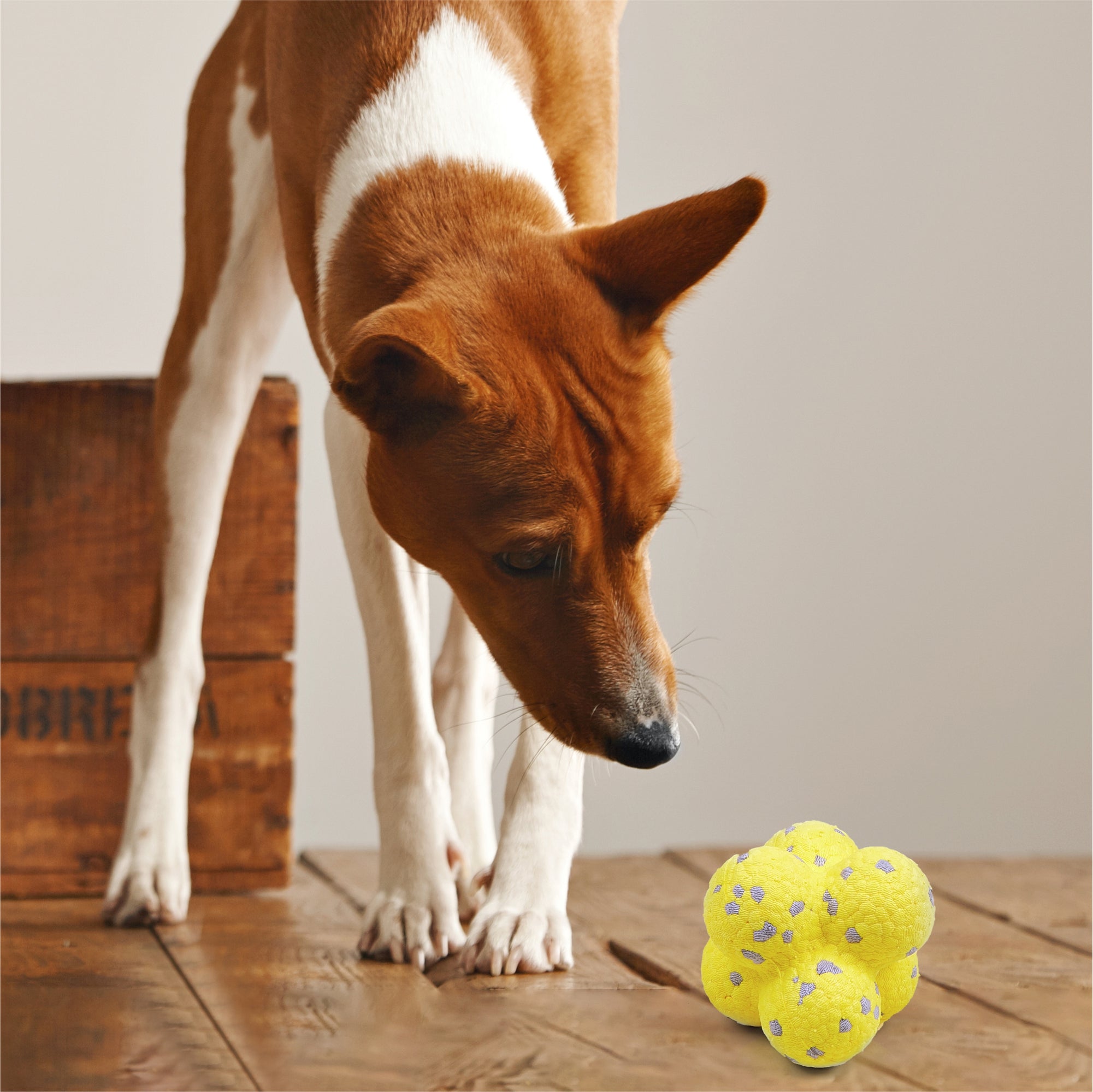 FOFOS Ultra-Durable Dog Ball-Yellow/Grey