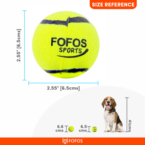 FOFOS Sports Fetch Ball 2pk