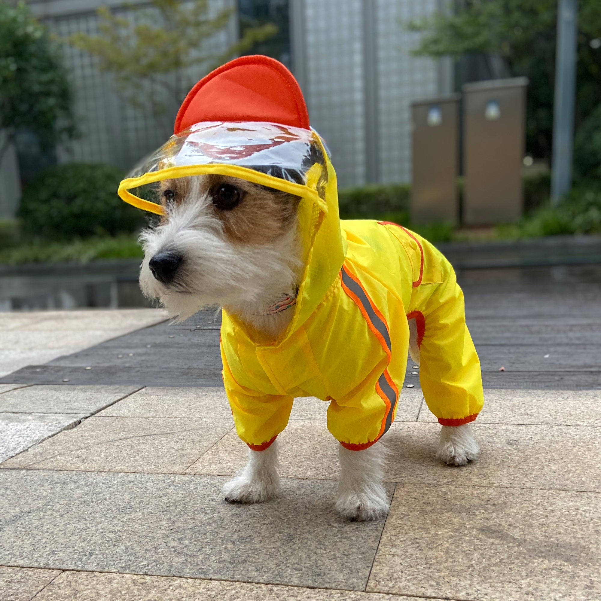 FOFOS Pet Raincoat - Duck