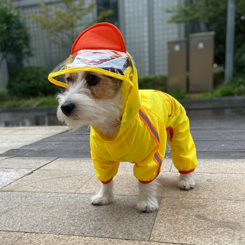 FOFOS Pet Raincoat - Duck