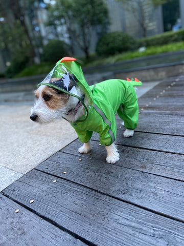 FOFOS Pet Raincoat-Dinosaur
