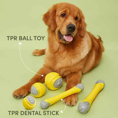 FOFOS Flexy Bone Chew Toy