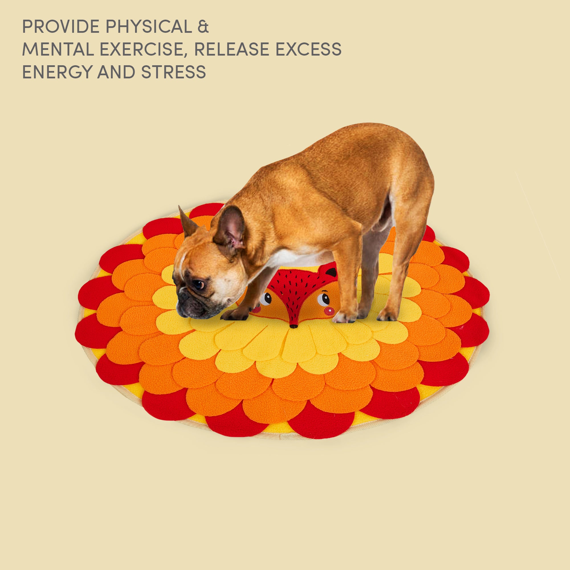 FOFOS Snuffle mat