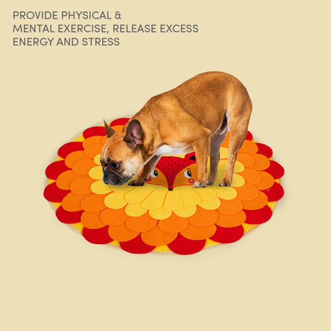 FOFOS Snuffle mat