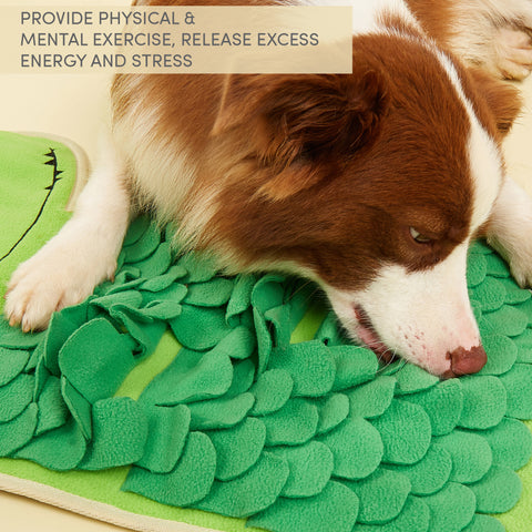 FOFOS Snuffle mat