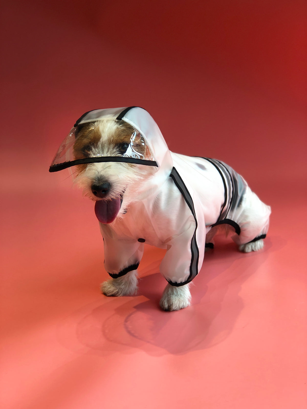 FOFOS Pet Four Leg Raincoat-Black