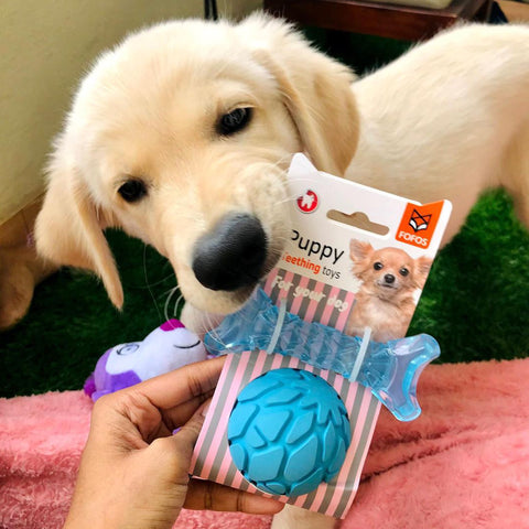 FOFOS Milk Bone & Ball