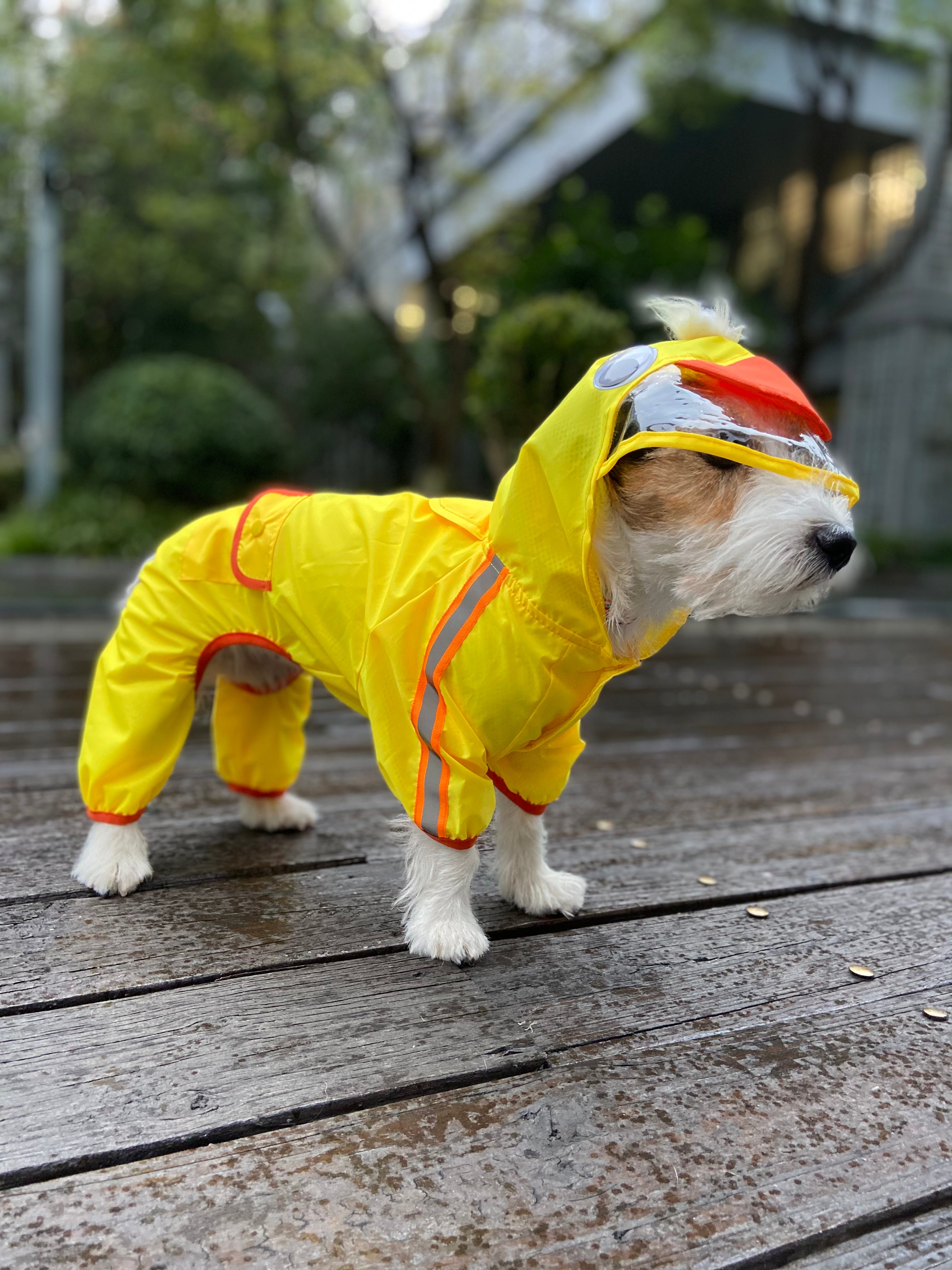 FOFOS Pet Raincoat - Duck