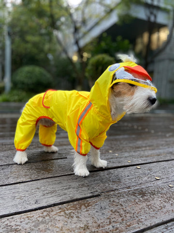 FOFOS Pet Raincoat - Duck