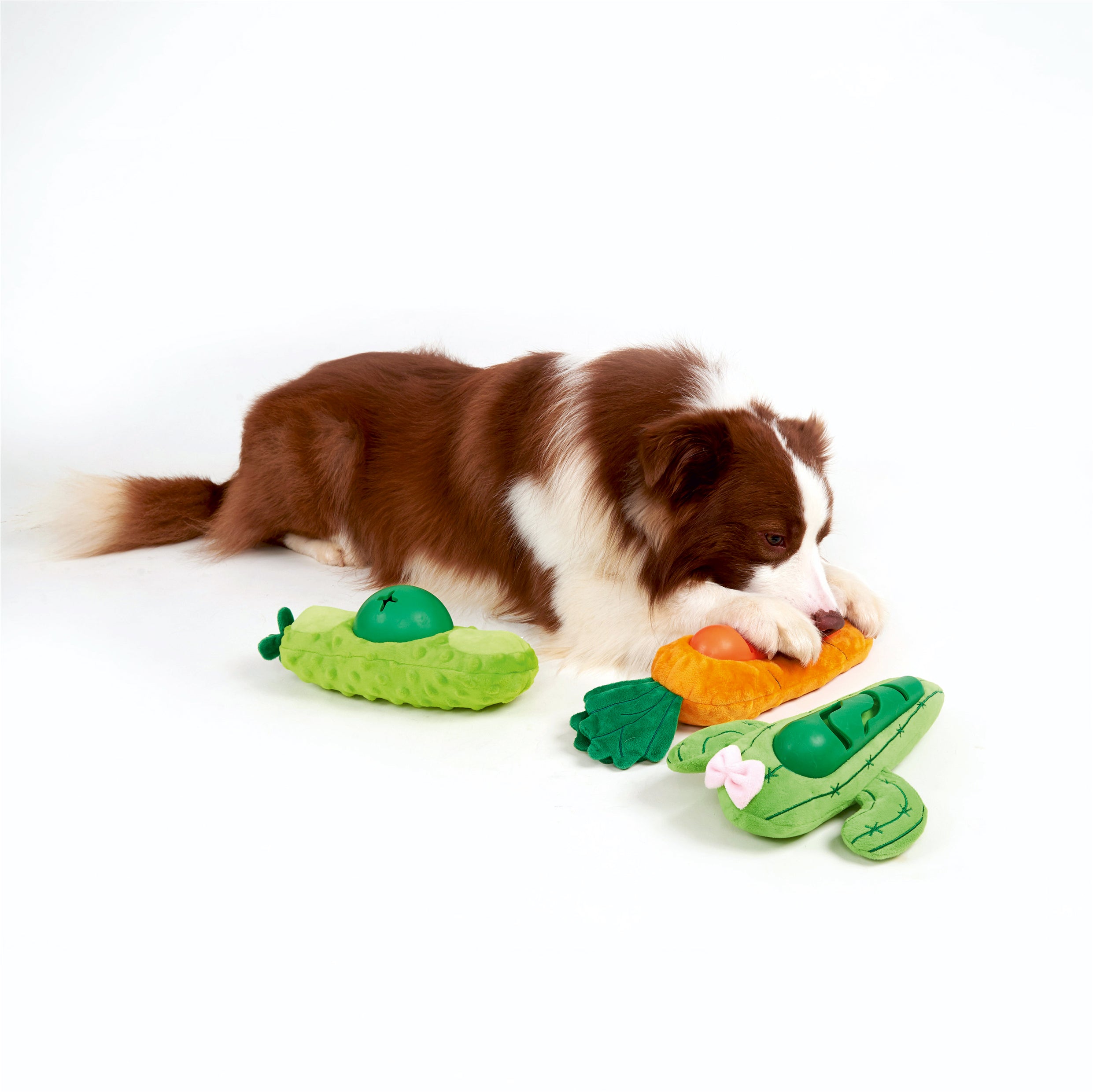 FOFOS Cute Treat Toy-Cactus