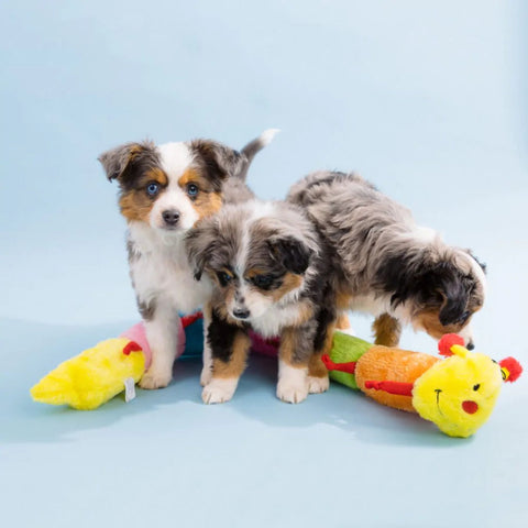 Zippy Paws Blasters - Caterpiller - Jumbo