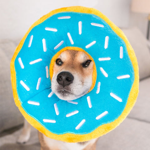 Zippy Paws Jumbo Donutz - Blueberry