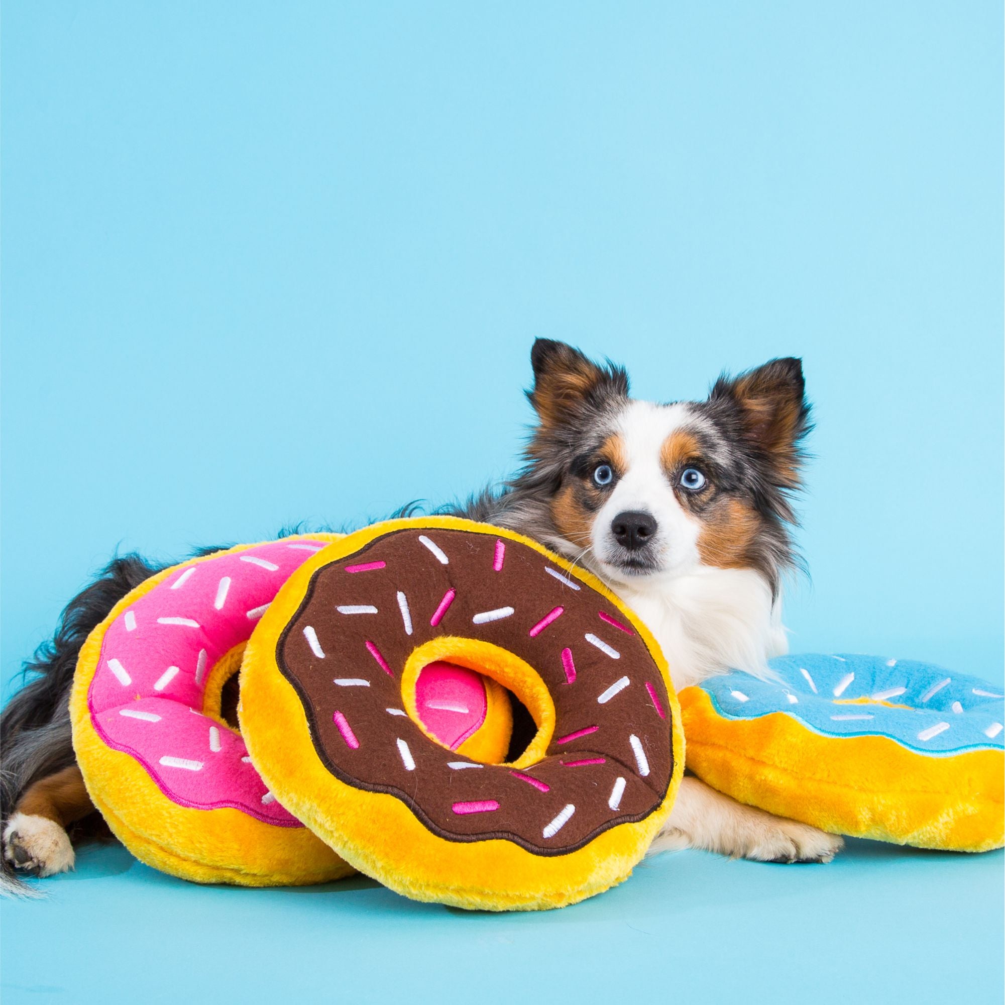 Zippy Paws Jumbo Donutz - Chocolate