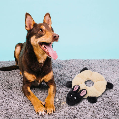 Zippy Paws Loopy - Sheep