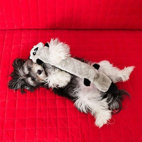 Zippy Paws Jigglerz - Raccoon