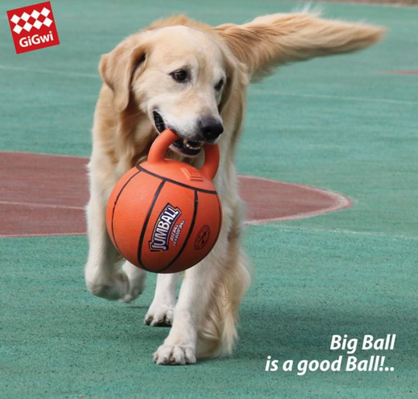 Jumball Basketball – Heavy-Duty Rubber Ball with Handle - Gigwi