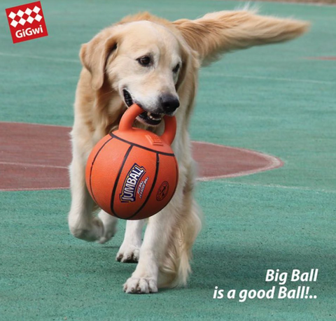 Jumball Basketball – Heavy-Duty Rubber Ball with Handle - Gigwi