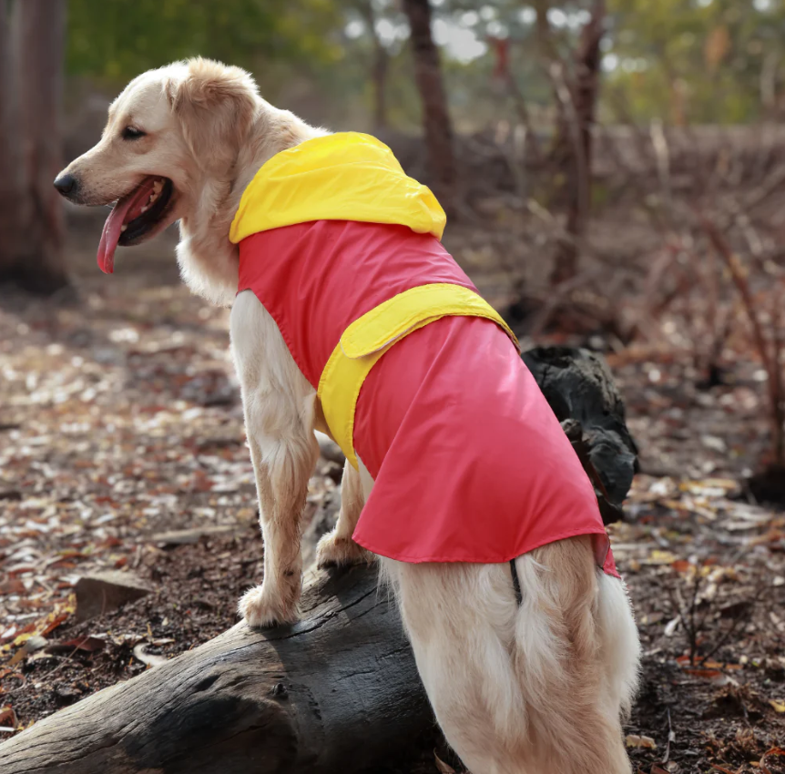 Dual Color Dog Raincoats – Waterproof & Adjustable Red - Yellow