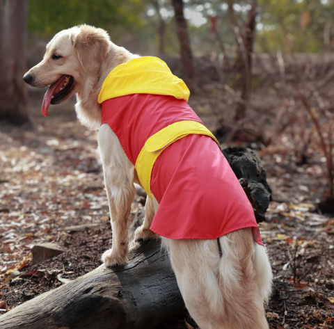 Dual Color Dog Raincoats – Waterproof & Adjustable Red - Yellow