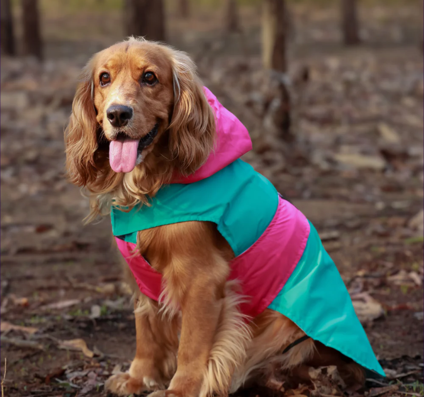 Dual Color Dog Raincoats – Waterproof & Adjustable Aqua-Pink