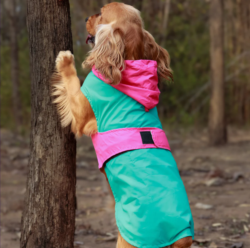 Dual Color Dog Raincoats – Waterproof & Adjustable Aqua-Pink