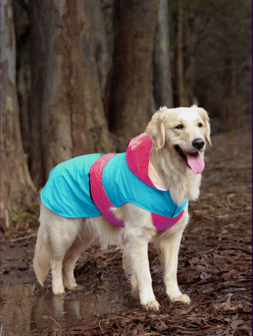 Dual Color Dog Raincoats – Waterproof & Adjustable Aqua-Pink