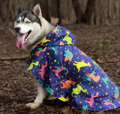 Dinosaur Printed Cape Style Dog Raincoat