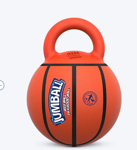 Jumball Basketball – Heavy-Duty Rubber Ball with Handle - Gigwi