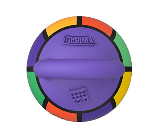 Jumball Basketball – Multicolor Heavy-Duty Dog Toy - Gigwi