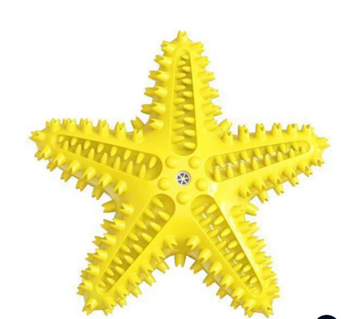Star Teether – Squeaky Textured Chew Toy for Dogs