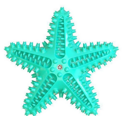 Star Teether – Squeaky Textured Chew Toy for Dogs