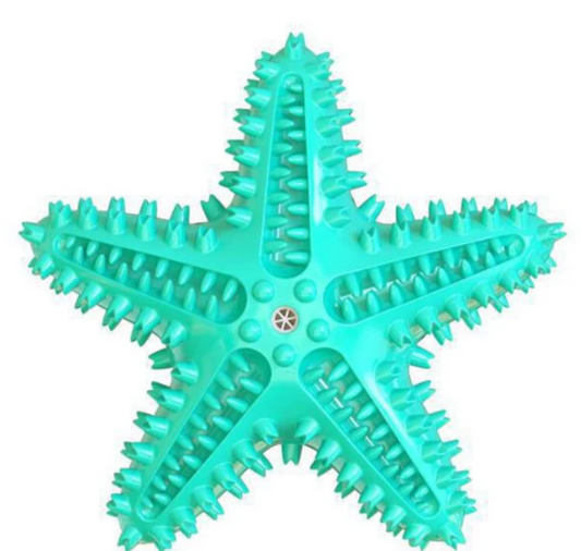 Star Teether – Squeaky Textured Chew Toy for Dogs